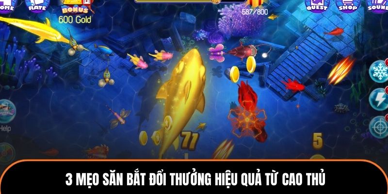 3 mẹo săn bắt đổi thưởng hiệu quả từ cao thủ.