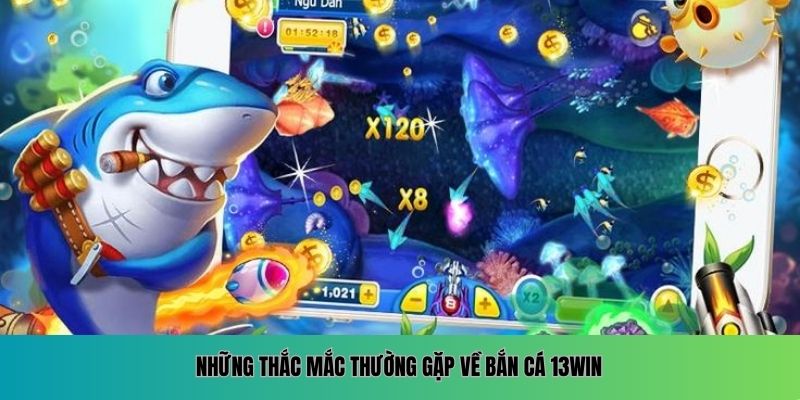 Những thắc mắc thường gặp về bắn cá 13WIN.